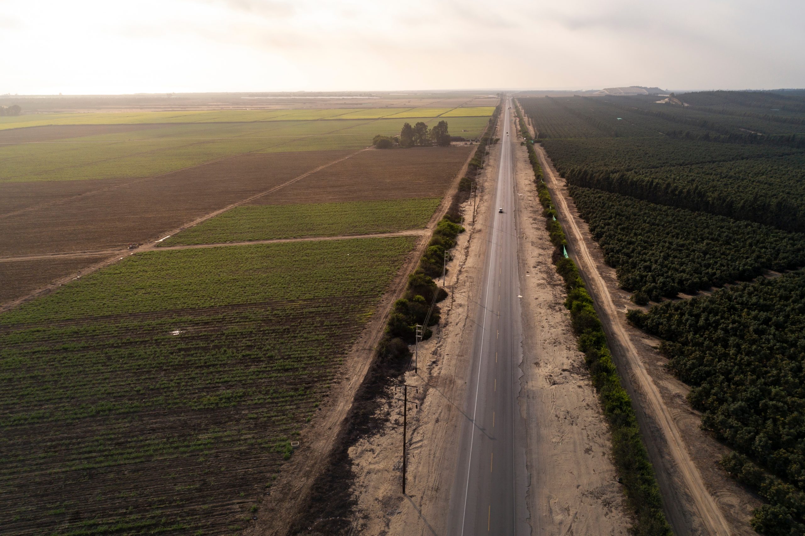 trujillo,,peru:,aerial,image,of,the,technified,crops,in,the